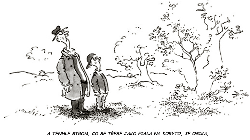 Fiala osika